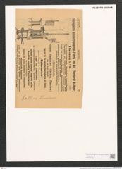 Surirella baltica Schum. (de-Toni-Nr.: Genus 53, Species 2248) Zeichnungen Sammlung Grunow (NHMW-BOT-W0372750)